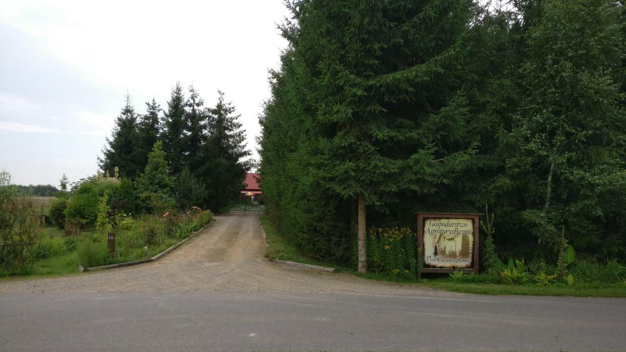 Agroturystyka Pod Czarna Sosna Bialy Lug Eksteriør billede