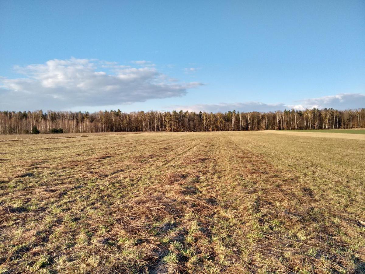 Agroturystyka Pod Czarna Sosna Bialy Lug Eksteriør billede